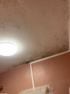 Photo de galerie - Peinture - Tapisserie