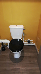 Photo de galerie - Réparation fuite plus pose nouveau wc
