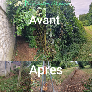 Photo de galerie - Abattage de haies, dessouchage et remise à niveau du terrain pour un extérieur propre et prêt à réaménager.