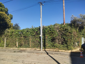 Photo de galerie - Taille de haie 4m50 de hauteur 