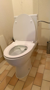 Photo de galerie - Remplacement WC au sol