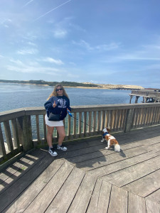 Photo de galerie - Balade en bord de mer 