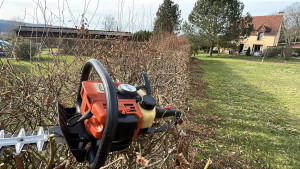 Photo de galerie - Taille de haies et d'arbustes