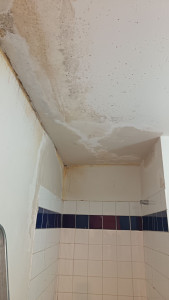 Photo de galerie - Peinture - Tapisserie