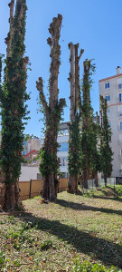 Photo de galerie - Entretien 