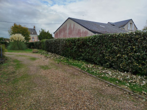 Photo de galerie - Taille de haies et d'arbustes