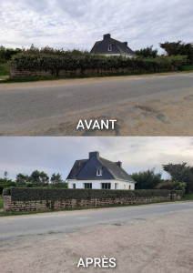 Photo de galerie - Taille et rabattage de haies