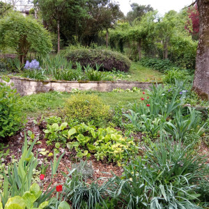 Photo de galerie - Jardinier