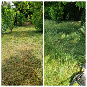 Photo de galerie - Jardinier