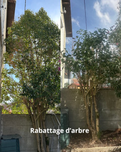 Photo de galerie - Rabattage à Bordeaux Centre sur demande du voisinage. 