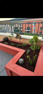 Photo de galerie - Paysagiste - Aménagement du jardin