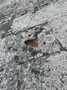 Photo de galerie - Couverture - Toiture