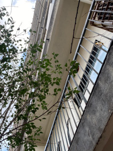 Photo de galerie - Bricolage et multi services