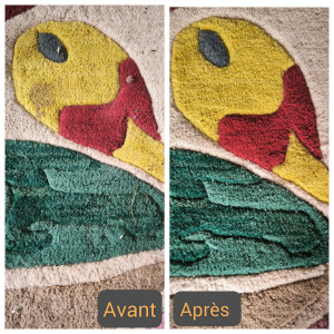 Photo de galerie - Nettoyage Tapis 