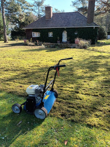Photo de galerie - Paysagiste - Aménagement du jardin