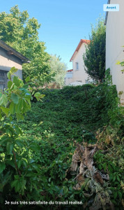 Photo de galerie - Tonte de pelouse - Débroussaillage