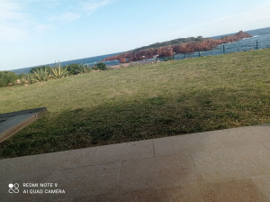 Photo de galerie - Entretien de jardin 