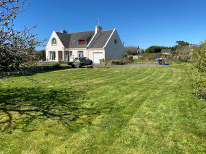 Photo de galerie - Première tonte 