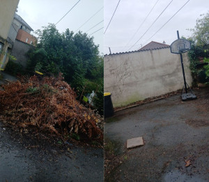 Photo de galerie - Elagage et coupe d'arbres