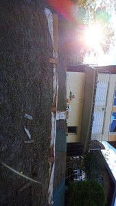 Photo de galerie - Création 
