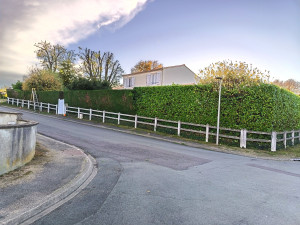 Photo de galerie - Taille de haies et d'arbustes