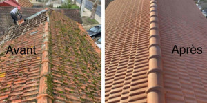 Photo de galerie - Demoussage 