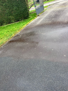 Photo de galerie - Paysagiste - Aménagement du jardin