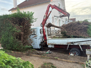 Photo de galerie - Taille de haies et d'arbustes