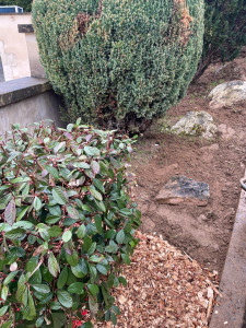 Photo de galerie - Paysagiste - Aménagement du jardin