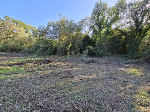 Photo de galerie - Paysagiste - Aménagement du jardin