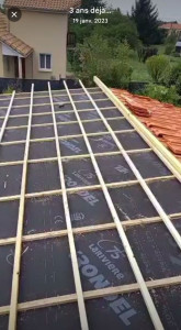 Photo de galerie - Reprise de toiture.