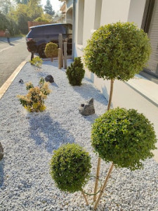 Photo de galerie - Paysagiste - Aménagement du jardin