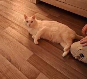 Photo de galerie - Masta mon grand nounours