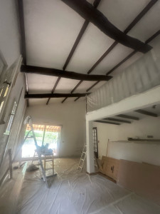 Photo de galerie - Ratissage peinture 