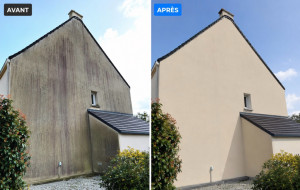 Photo de galerie - Nettoyage de pignon