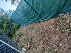 Photo de galerie - Désherbage à la main