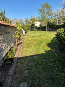 Photo de galerie - Tonte de pelouse - coupe des bordures - plantations (Draveil 91)
