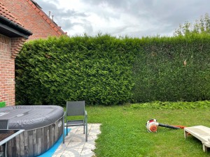 Photo de galerie - Taille de haies et d'arbustes