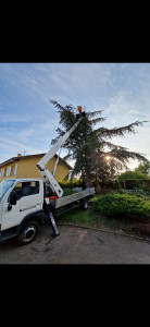 Photo de galerie - élagage ďarbres
