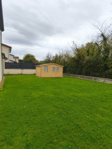 Photo de galerie - Résultats d'un gazon en 4 semaines ?