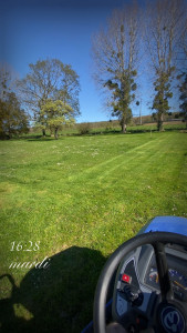 Photo de galerie - Tonte 