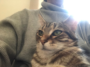 Photo de galerie - Berlioz