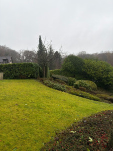 Photo de galerie - Taille haie 