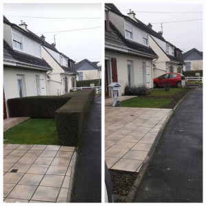 Photo de galerie - Dessouchage d'une haie 