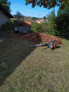 Photo de galerie - Paysagiste - Aménagement du jardin