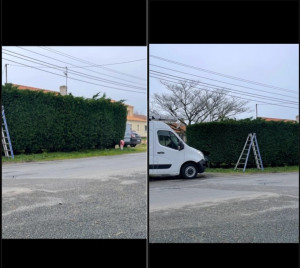 Photo de galerie - Réalisation d’une taille de haie de 8 m