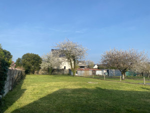 Photo de galerie - Tonte de pelouse 