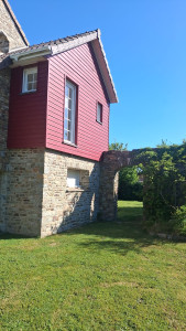 Photo de galerie - Tonte de pelouse et peinture
