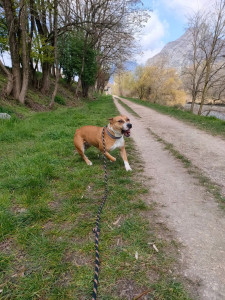 Photo de galerie - Balade avec Tania