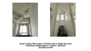 Photo de galerie - Rénovation Toilettes après dégât des eaux